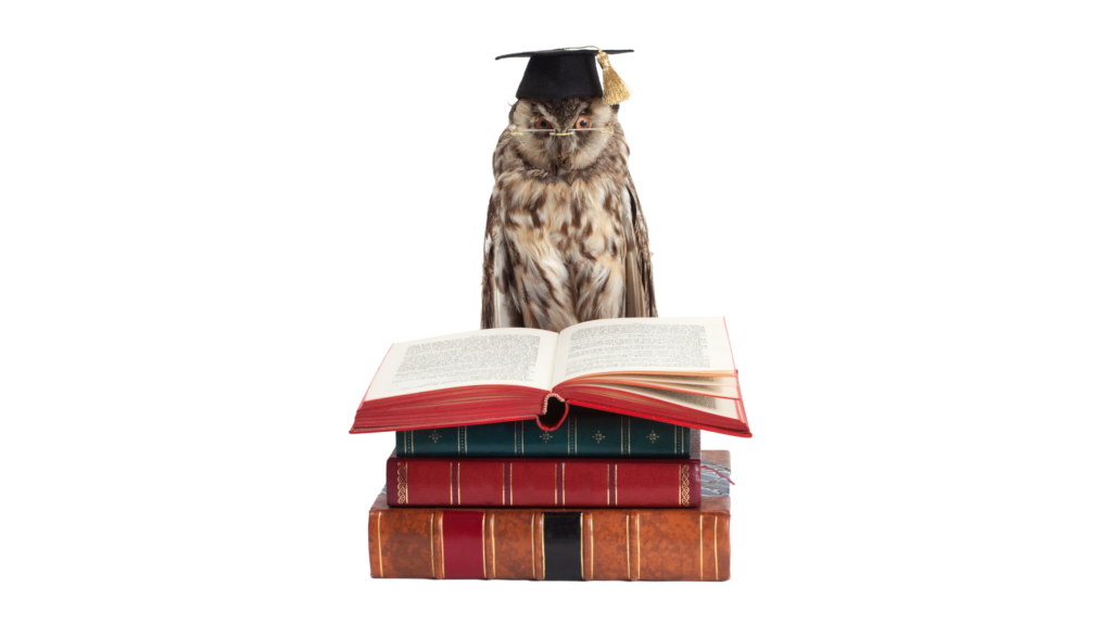 Meaning behind graduation owl